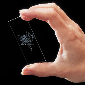 1534486948392098.jpg 9.jpg