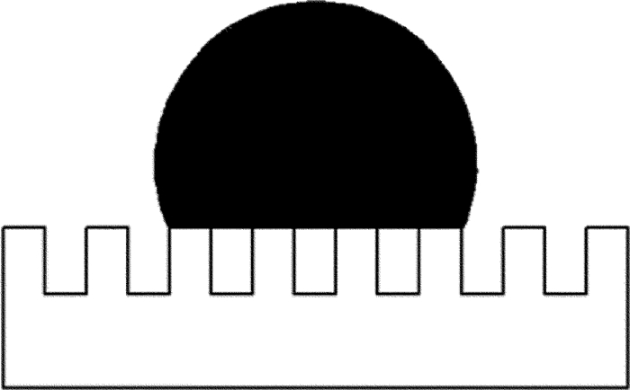 1565331040680529.jpg 3.jpg